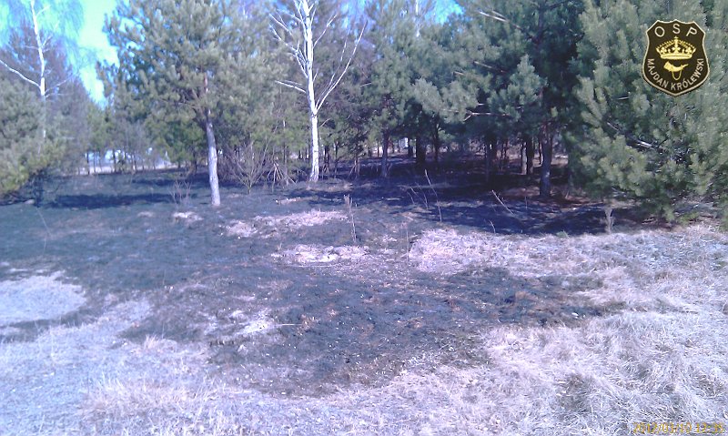 IMAG0400.jpg