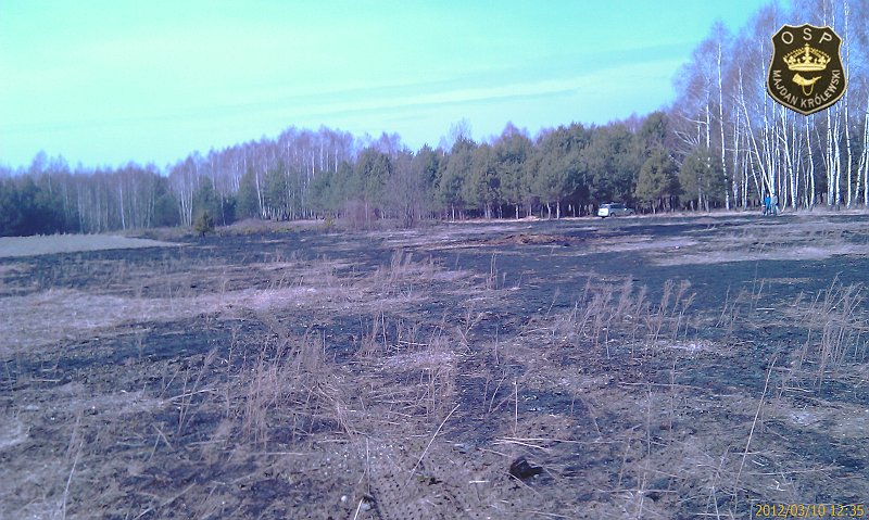 IMAG0401.jpg