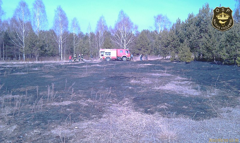 IMAG0402.jpg