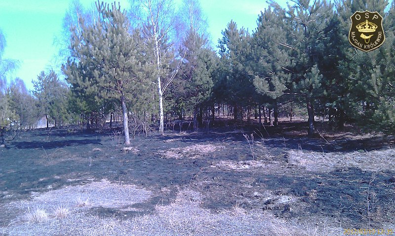 IMAG0403.jpg