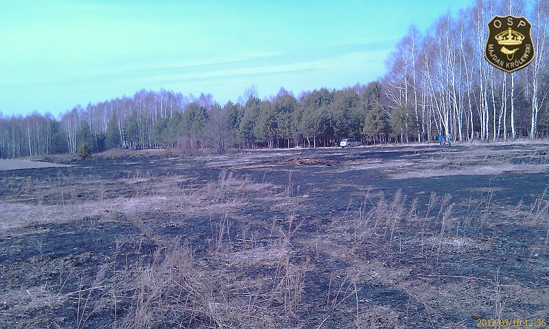 IMAG0404.jpg