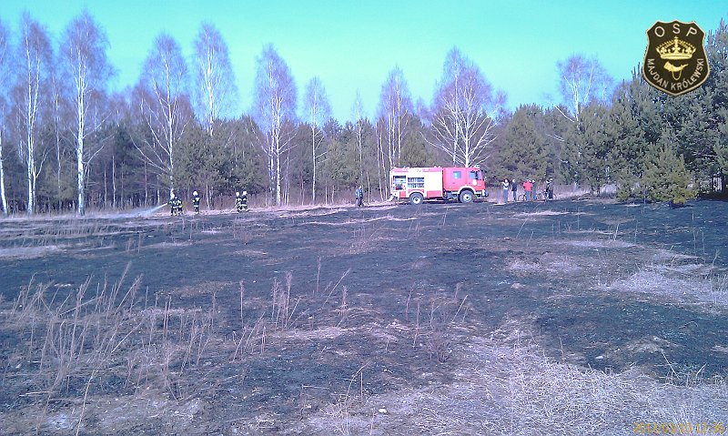 IMAG0405.jpg