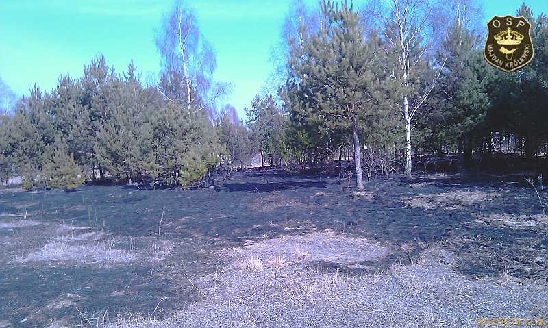 IMAG0406.jpg