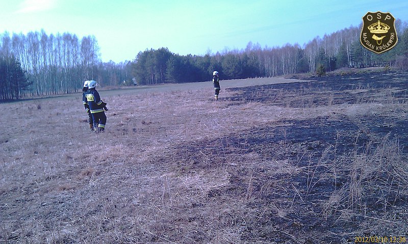 IMAG0407.jpg