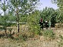 20100822066