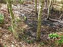 DSCN9299