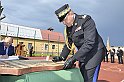 _DSC5941