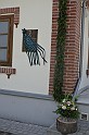 _DSC7082