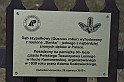 _DSC7085