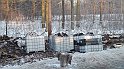 IMG_20170127_074756