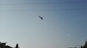 IMG_20170812_070520